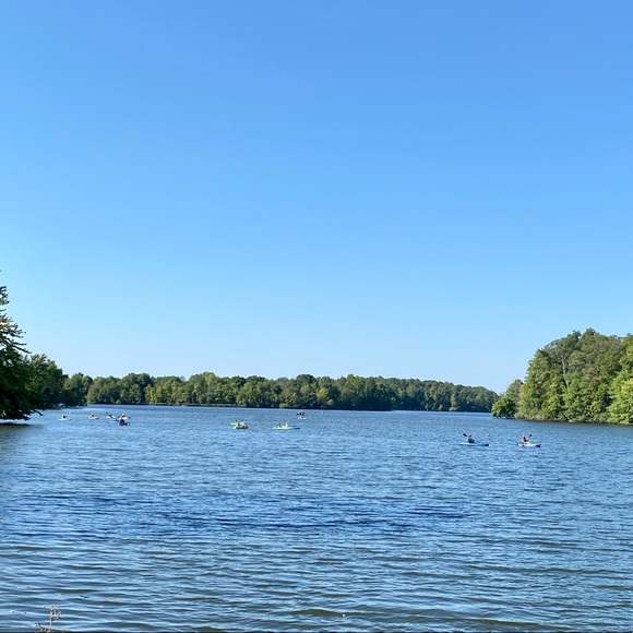 Meet your Posher, Minnie - Picture 1 of 1